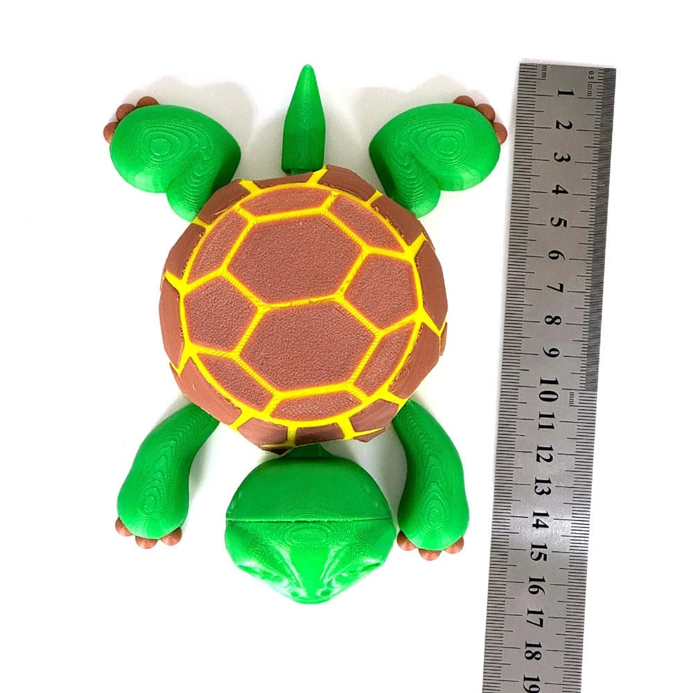 Funny Turtle coaster