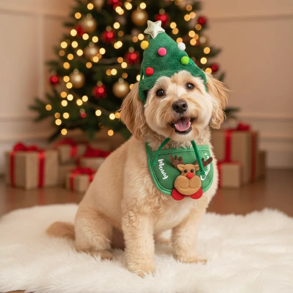 Holiday Pet Outfit ( Hat + Scarf )
