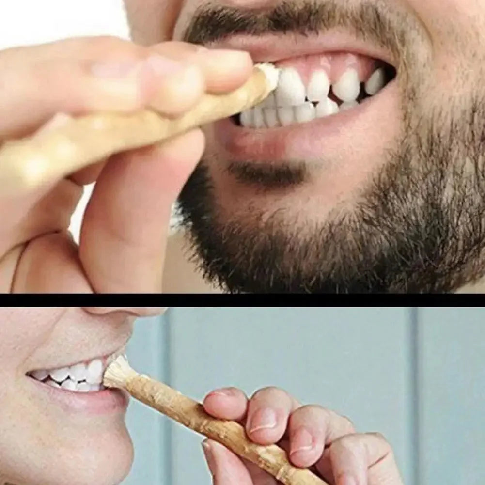 Ancient Miswak Toothbrush 3 pcs