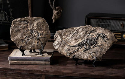 Dinosaur Fossil Specimen