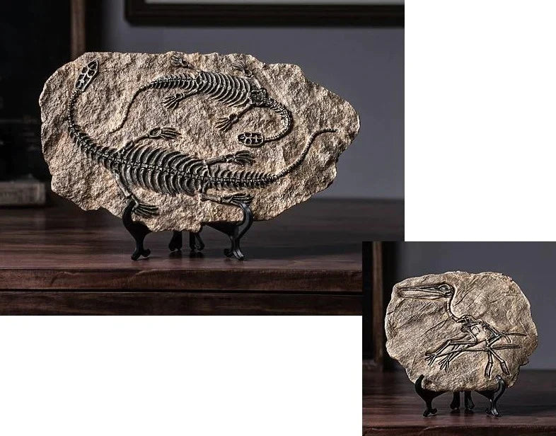 Dinosaur Fossil Specimen