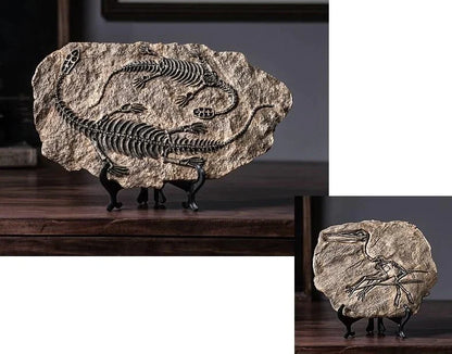 Dinosaur Fossil Specimen