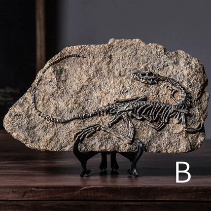Dinosaur Fossil Specimen