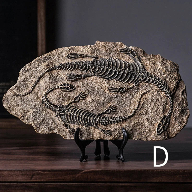 Dinosaur Fossil Specimen