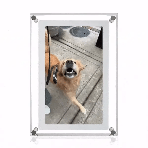 Digital Frame